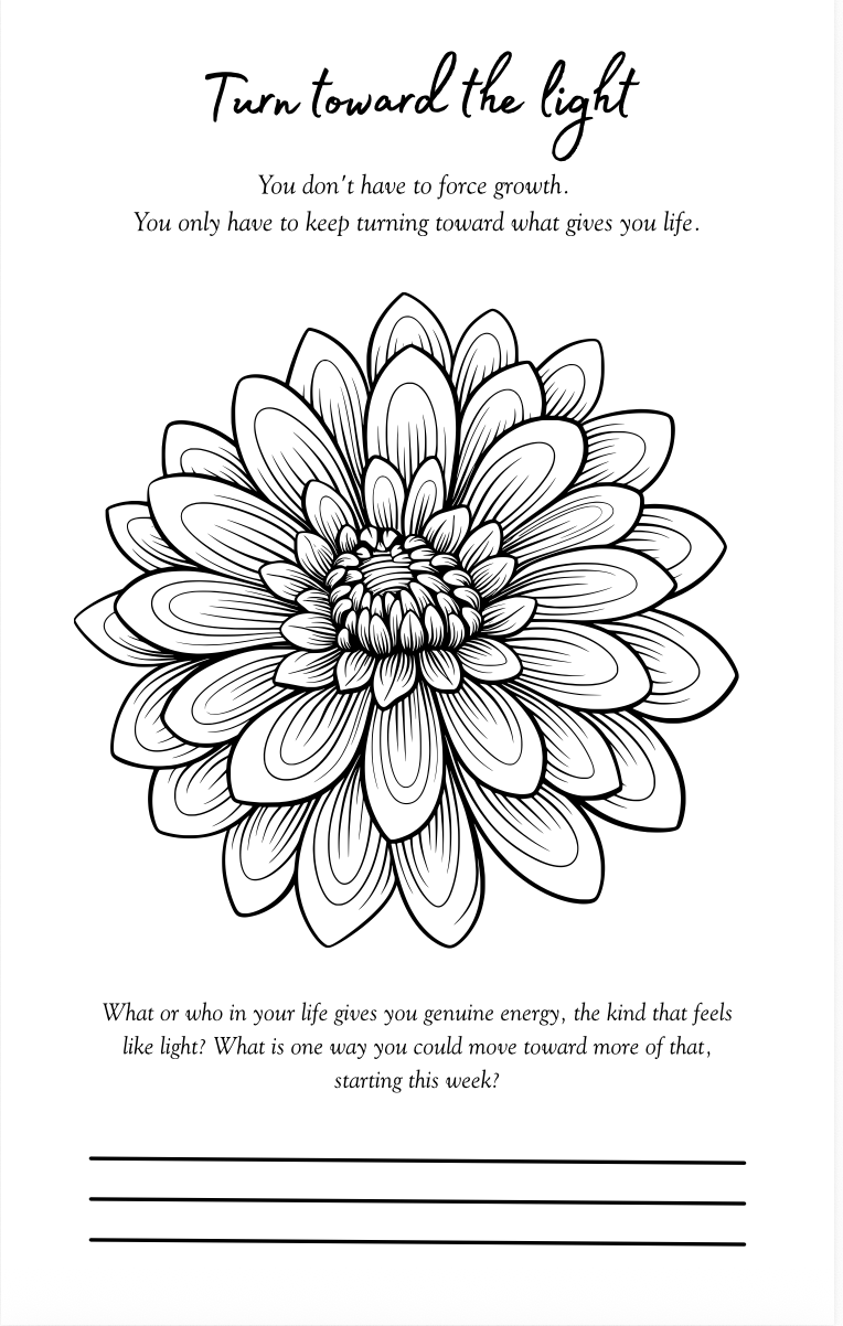 Rooted & Rising Digital Coloring Book