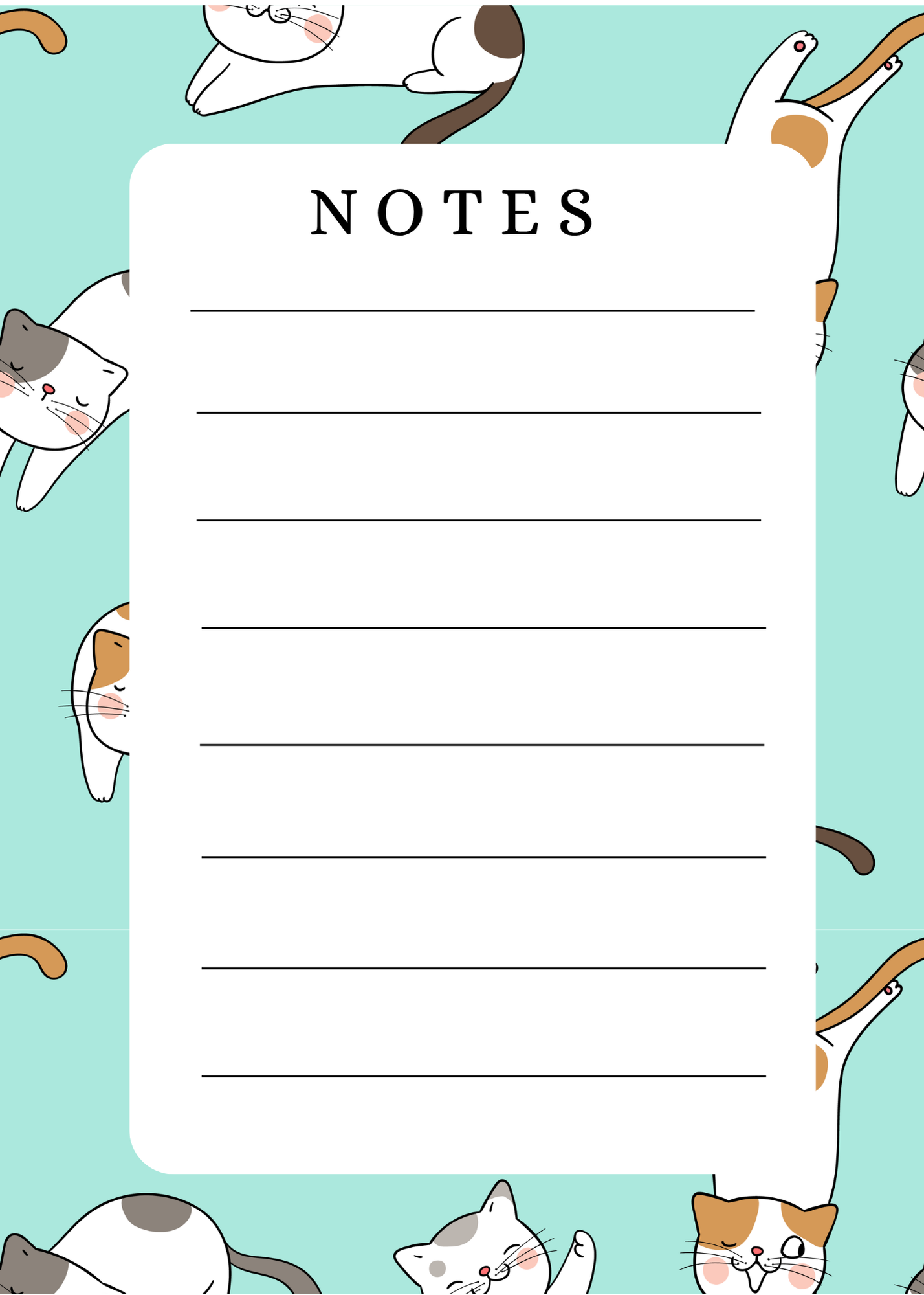 Stationary Bundle