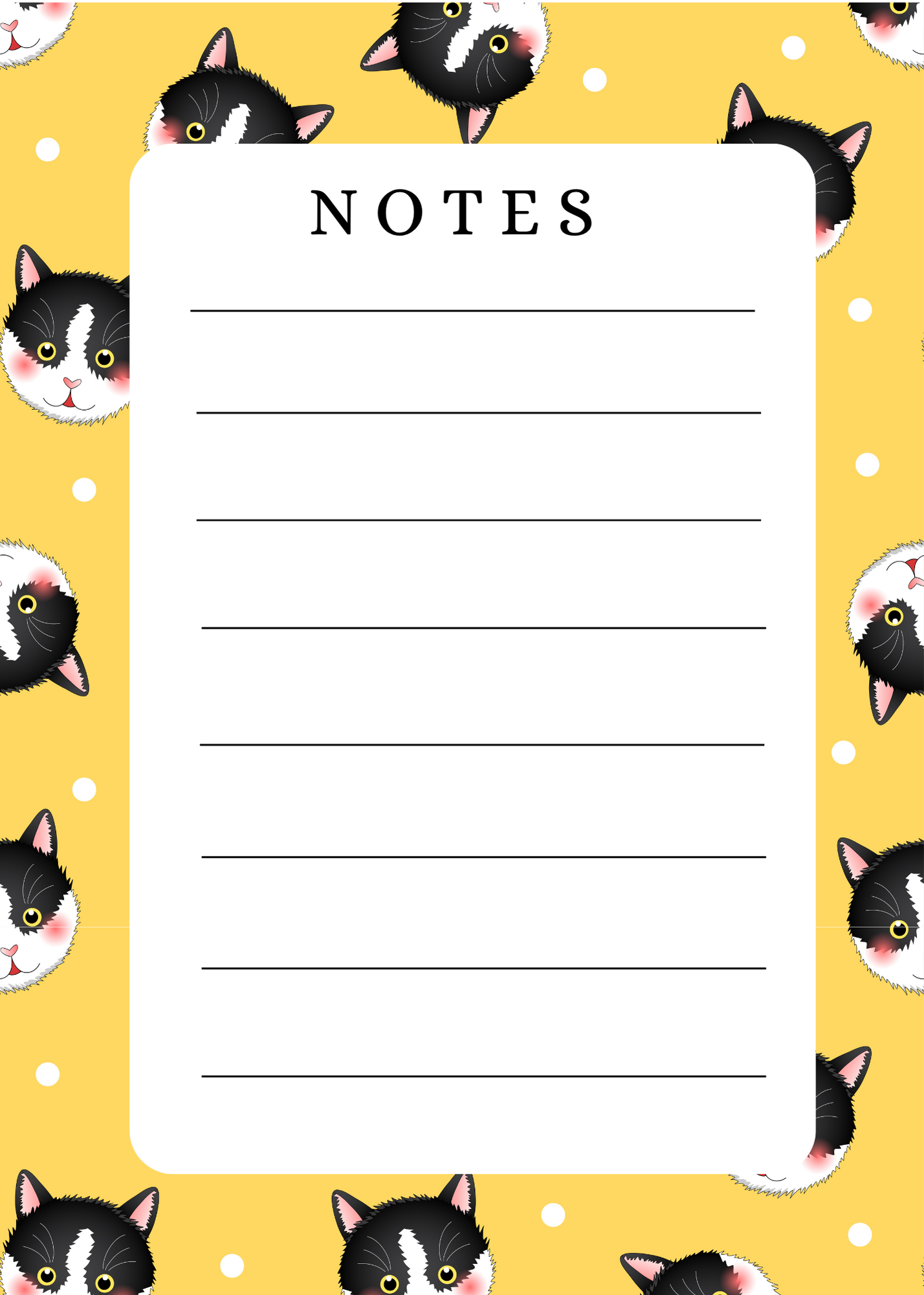 Stationary Bundle