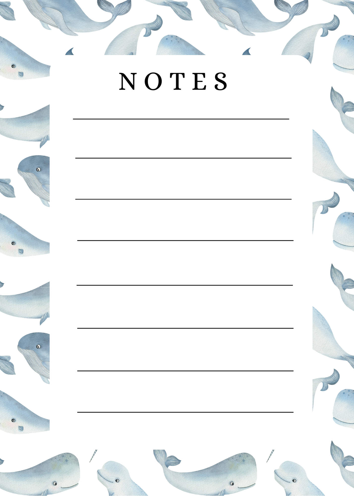 Stationary Bundle